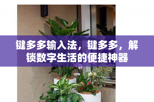 键多多输入法，键多多，解锁数字生活的便捷神器