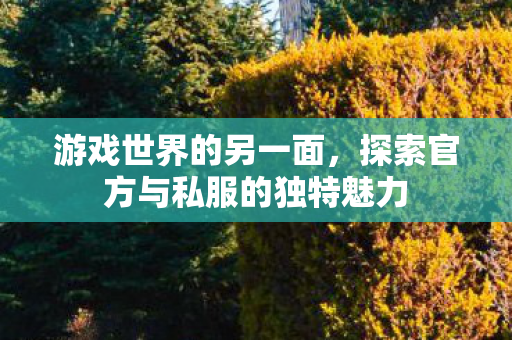 游戏世界的另一面，探索官方与私服的独特魅力