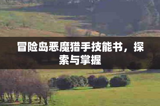 冒险岛恶魔猎手技能书,探索与掌握 冒险岛恶魔猎手技能书,探索与掌握