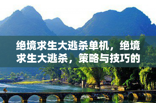 绝境求生大逃杀单机，绝境求生大逃杀，策略与技巧的终极指南