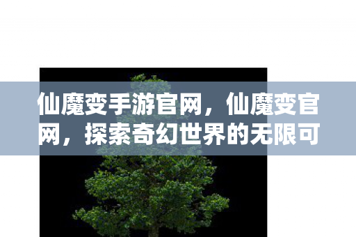 仙魔变手游官网，仙魔变官网，探索奇幻世界的无限可能