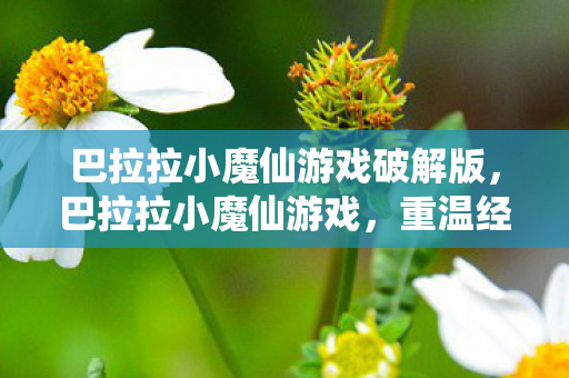 巴拉拉小魔仙游戏破解版图片