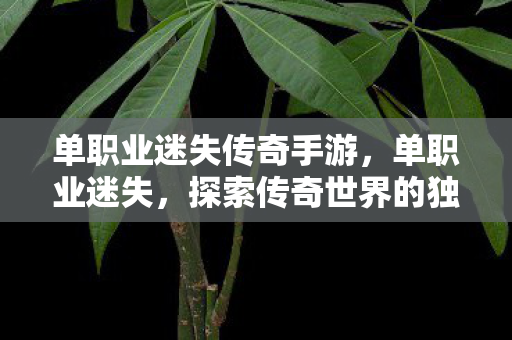 单职业迷失传奇手游，单职业迷失，探索传奇世界的独特魅力