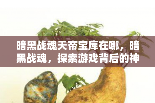 暗黑战魂天帝宝库在哪,暗黑战魂,探索游戏背后的神秘世界 暗黑战魂天帝宝库在哪,暗黑战魂,探索游戏背后的神秘世界