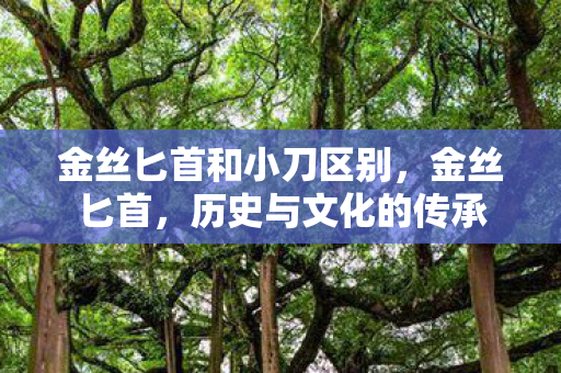 金丝匕首和小刀区别,金丝匕首,历史与文化的传承 金丝匕首和小刀区别,金丝匕首,历史与文化的传承