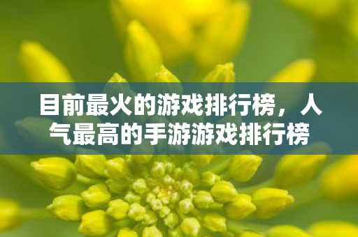 目前最火的游戏排行榜,人气最高的手游游戏排行榜 目前最火的游戏排行榜,人气最高的手游游戏排行榜