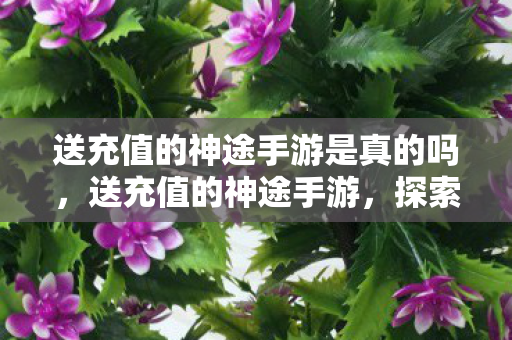 送充值的神途手游是真的吗,送充值的神途手游,探索无限可能的虚拟世界 送充值的神途手游是真的吗,送充值的神途手游,探索无限可能的虚拟世界