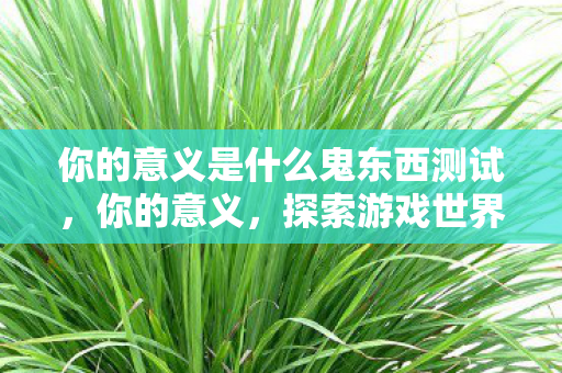 你的意义是什么鬼东西测试，你的意义，探索游戏世界的深层价值