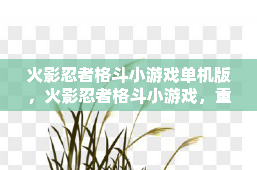 火影忍者格斗小游戏单机版，火影忍者格斗小游戏，重温经典，再战忍界