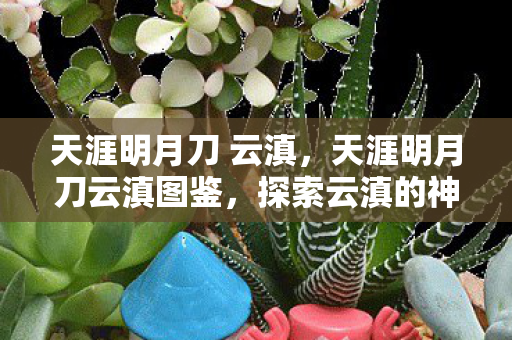 探索云滇的神秘与美丽图片