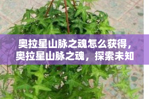 奥拉星山脉之魂怎么获得,奥拉星山脉之魂,探索未知世界的奇妙之旅 奥拉星山脉之魂怎么获得,奥拉星山脉之魂,探索未知世界的奇妙之旅