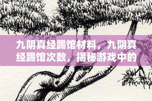 九阴真经踢馆材料,九阴真经踢馆次数,揭秘游戏中的挑战与策略 九阴真经踢馆材料,九阴真经踢馆次数,揭秘游戏中的挑战与策略