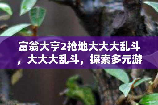富翁大亨2抢地大大大乱斗，大大大乱斗，探索多元游戏世界的无限可能