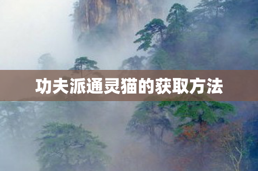 功夫派通灵猫的获取方法 功夫派通灵猫的获取方法