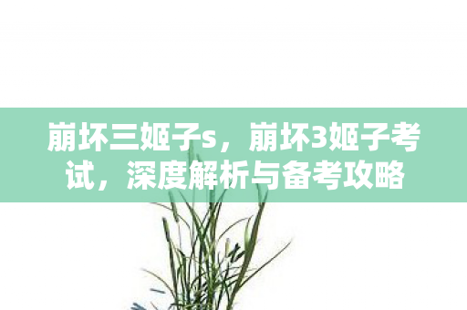 崩坏三姬子s,崩坏3姬子考试,深度解析与备考攻略 崩坏三姬子s,崩坏3姬子考试,深度解析与备考攻略