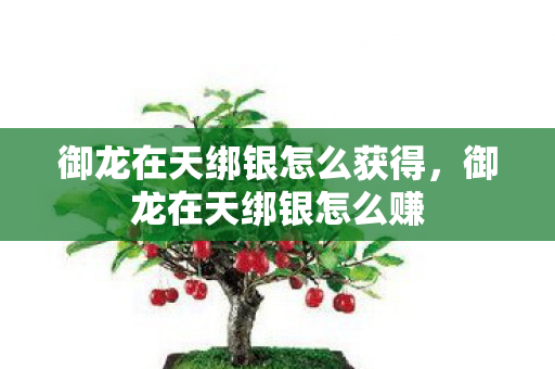 御龙在天绑银怎么获得,御龙在天绑银怎么赚 御龙在天绑银怎么获得,御龙在天绑银怎么赚