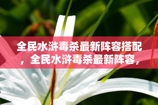 全民水浒毒杀最新阵容搭配,全民水浒毒杀最新阵容,打造最强战斗阵容,助你称霸江湖 全民水浒毒杀最新阵容搭配,全民水浒毒杀最新阵容,打造最强战斗阵容,助你称霸江湖