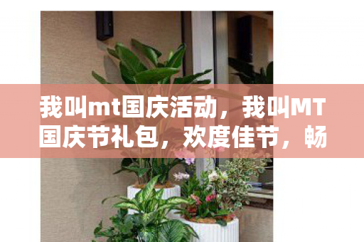 我叫MT国庆节礼包图片