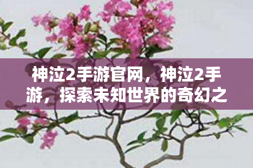 探索未知世界的奇幻之旅图片