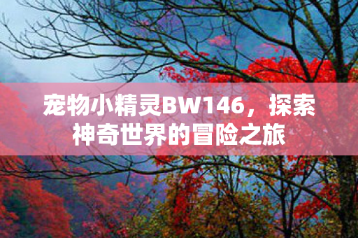 宠物小精灵BW146,探索神奇世界的冒险之旅 宠物小精灵BW146,探索神奇世界的冒险之旅