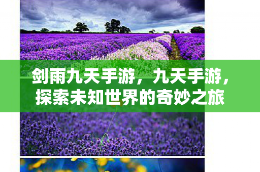 剑雨九天手游,九天手游,探索未知世界的奇妙之旅 剑雨九天手游,九天手游,探索未知世界的奇妙之旅