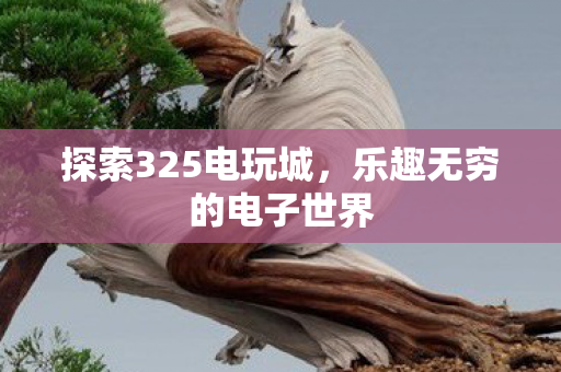 探索325电玩城,乐趣无穷的电子世界 探索325电玩城,乐趣无穷的电子世界