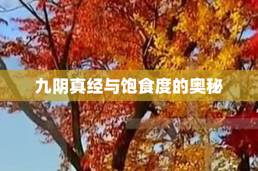 九阴真经与饱食度的奥秘 九阴真经与饱食度的奥秘