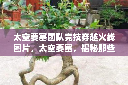 太空要塞团队竞技穿越火线图片图片