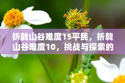 折戟山谷难度15平民,折戟山谷难度10,挑战与探索的极致之旅 折戟山谷难度15平民,折戟山谷难度10,挑战与探索的极致之旅