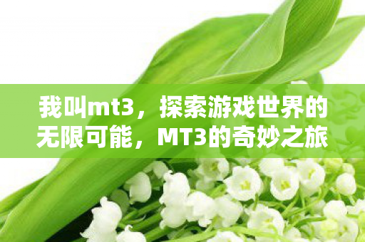 我叫mt3,探索游戏世界的无限可能,MT3的奇妙之旅 我叫mt3,探索游戏世界的无限可能,MT3的奇妙之旅