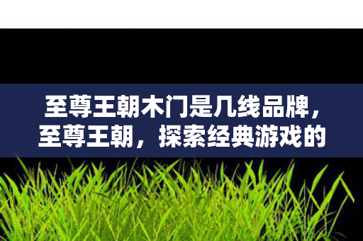 探索经典游戏的魅力与传承图片