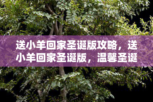 送小羊回家圣诞版攻略图片