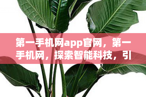 第一手机网app官网图片
