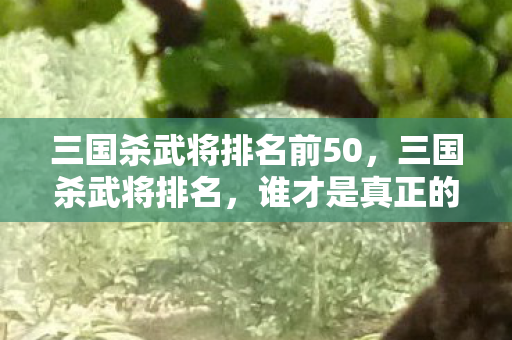 三国杀武将排名前50图片