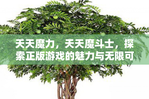 探索正版游戏的魅力与无限可能图片