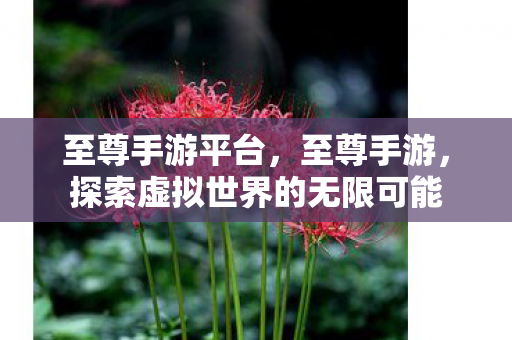 至尊手游平台，至尊手游，探索虚拟世界的无限可能