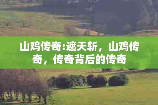 传奇背后的传奇图片