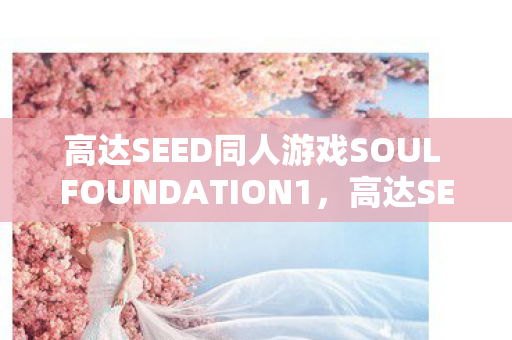 高达SEED同人游戏SOUL FOUNDATION1图片