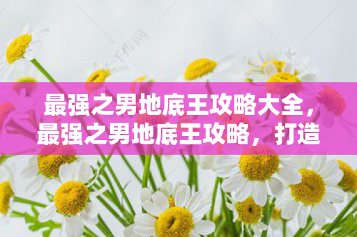 打造无敌地底王的全面指南图片
