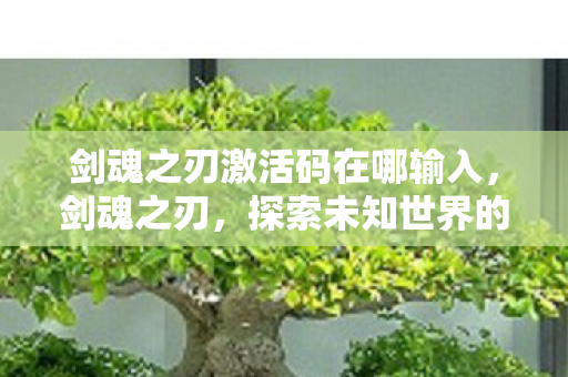 剑魂之刃激活码在哪输入,剑魂之刃,探索未知世界的神秘激活码 剑魂之刃激活码在哪输入,剑魂之刃,探索未知世界的神秘激活码