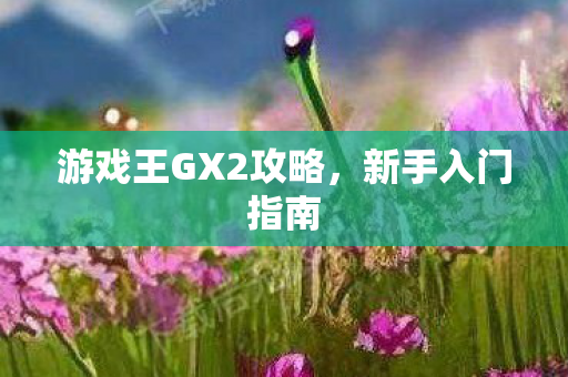 游戏王GX2攻略,新手入门指南 游戏王GX2攻略,新手入门指南