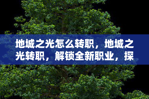 地城之光怎么转职图片