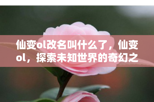 探索未知世界的奇幻之旅图片