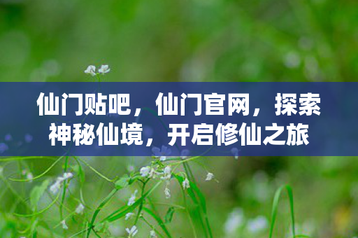 探索神秘仙境图片