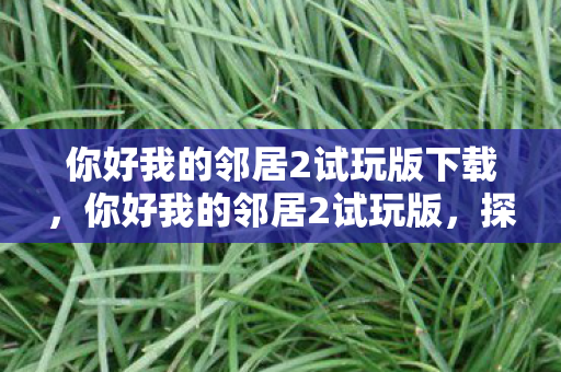 你好我的邻居2试玩版下载,你好我的邻居2试玩版,探索未知,与邻居共舞 你好我的邻居2试玩版下载,你好我的邻居2试玩版,探索未知,与邻居共舞