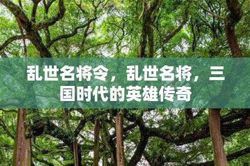 乱世名将令，乱世名将，三国时代的英雄传奇