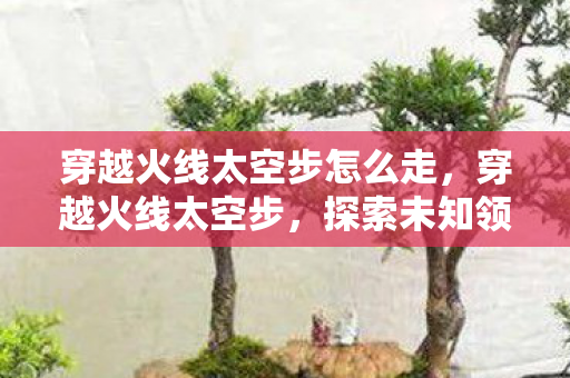 探索未知领域的极致舞步图片