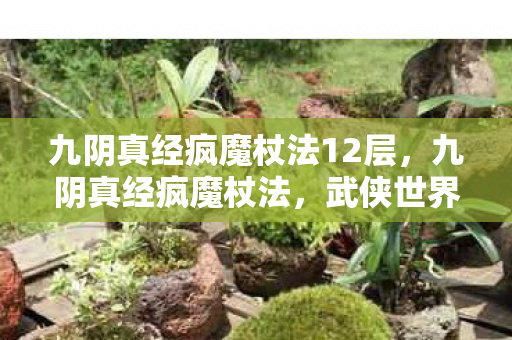 九阴真经疯魔杖法12层图片