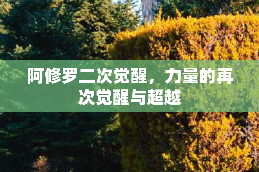 阿修罗二次觉醒,力量的再次觉醒与超越 阿修罗二次觉醒,力量的再次觉醒与超越