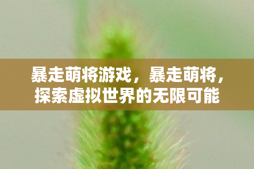 探索虚拟世界的无限可能图片